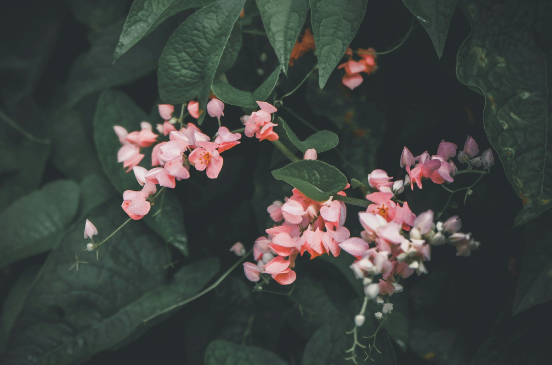 Relationship Counseling for Couples & Individuals in Seattle